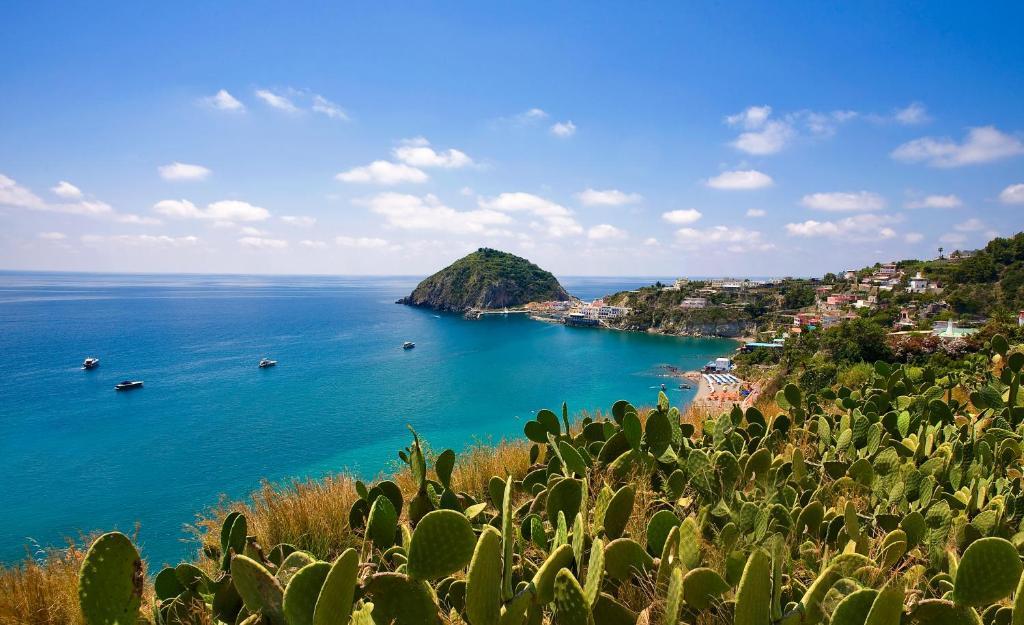 Hotel Vittorio Beach Resort Barano dʼIschia Eksteriør billede